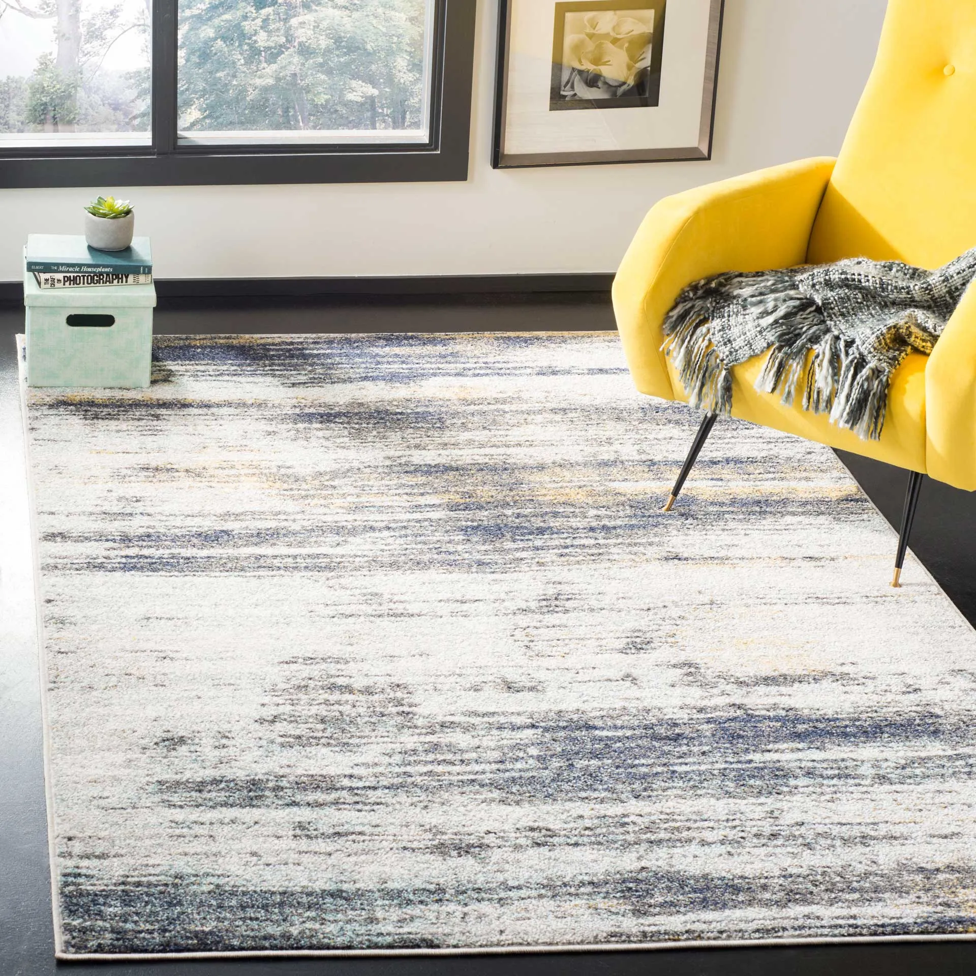 Adirondack Light Gray/Black Area Rug