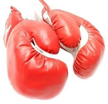 Foam Based Prime-Training Boxing Gloves (Regular Set of , Assorted Colour